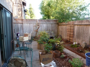 Backyard After a Day's Work